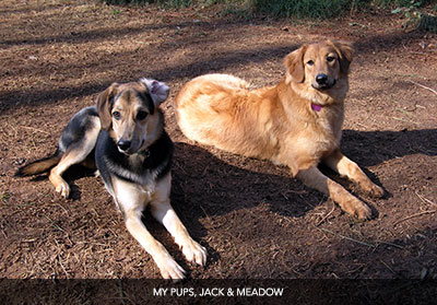 Jack and Meadow